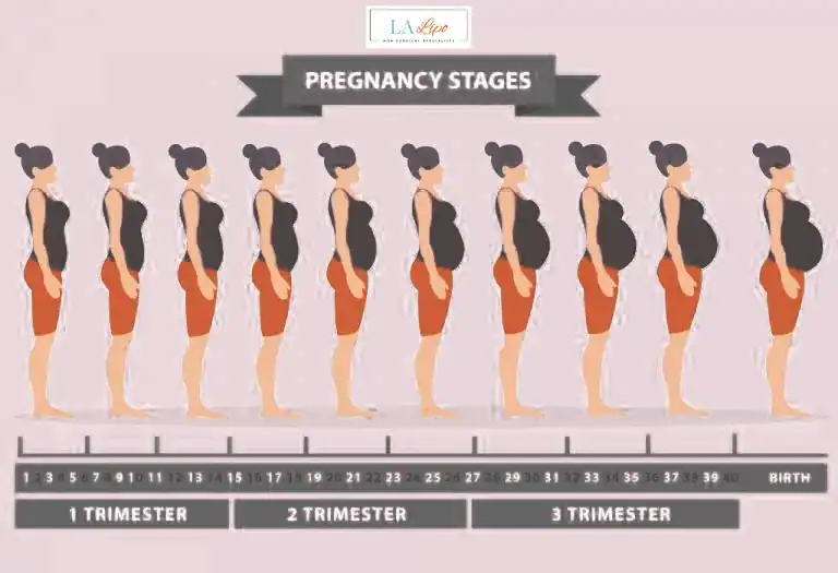 First Trimester (Weeks 1–12): Early Changes You Might Not Notice Brierley Hill